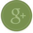 Google+